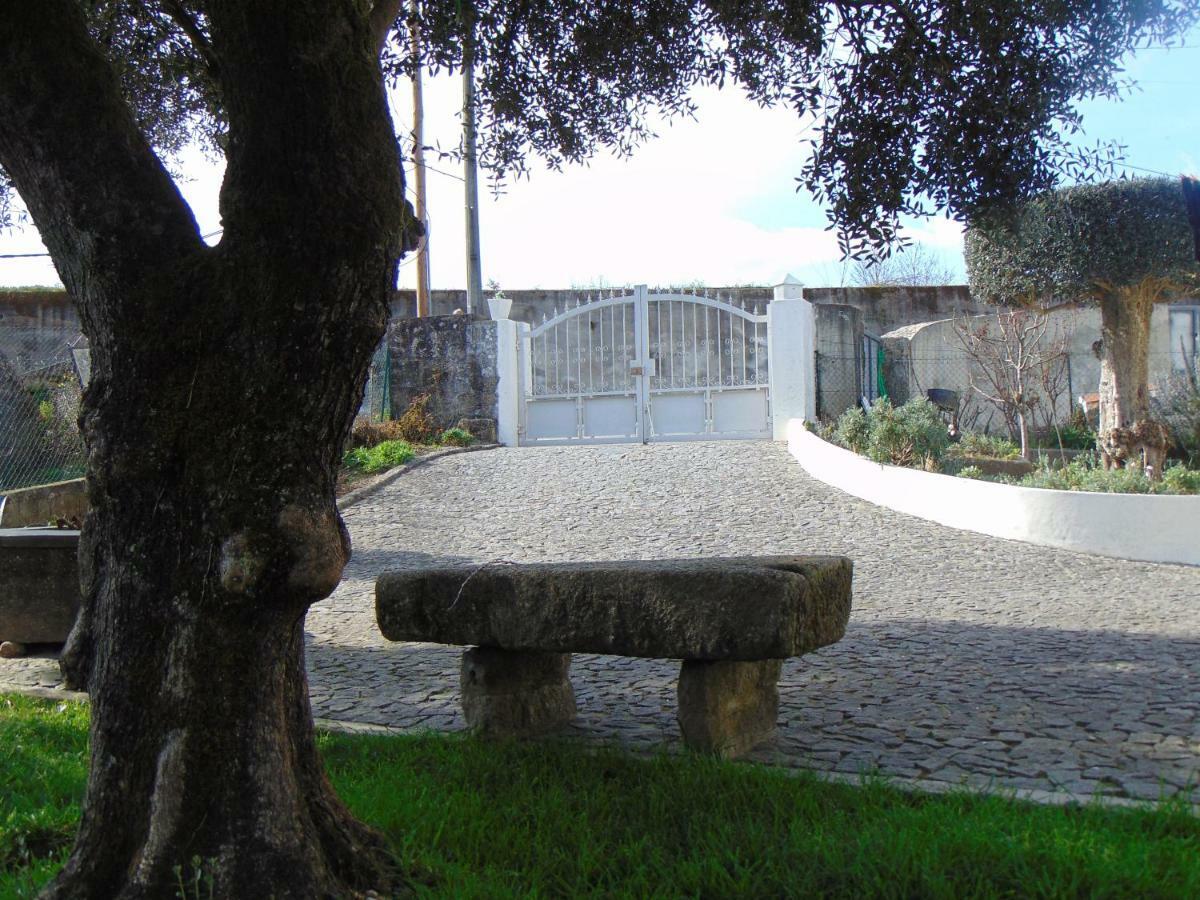 Pensjonat Casa Rebelo Cossourado  Zewnętrze zdjęcie