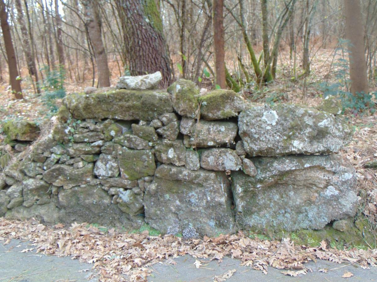 Pensjonat Casa Rebelo Cossourado  Zewnętrze zdjęcie